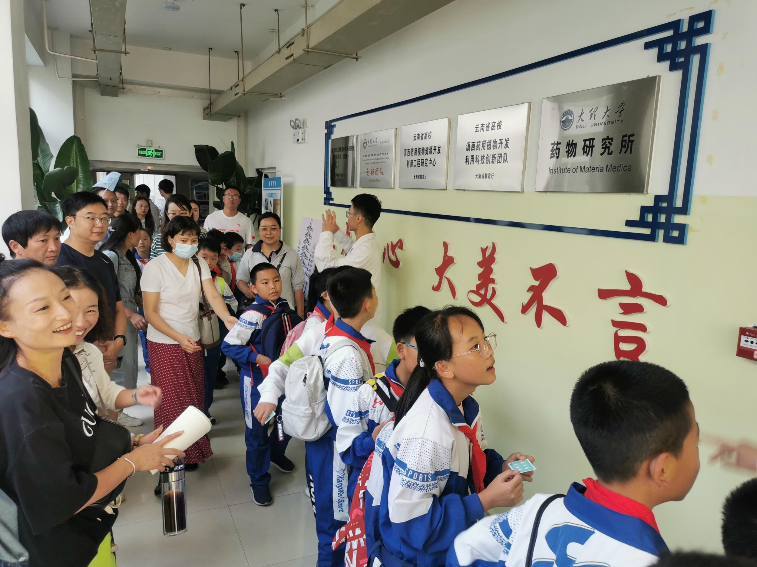 小学生们到大理大学药学院参观
