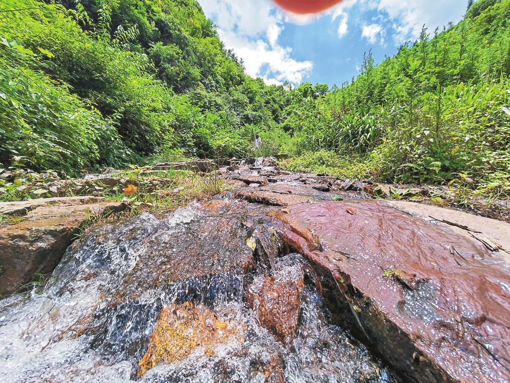 赤水河源头山清水秀。沈迅 摄