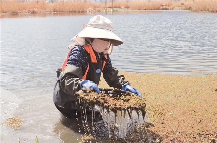 打捞漂浮物