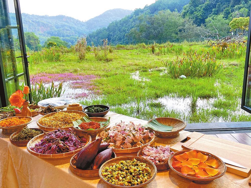 花宴 朱海 摄