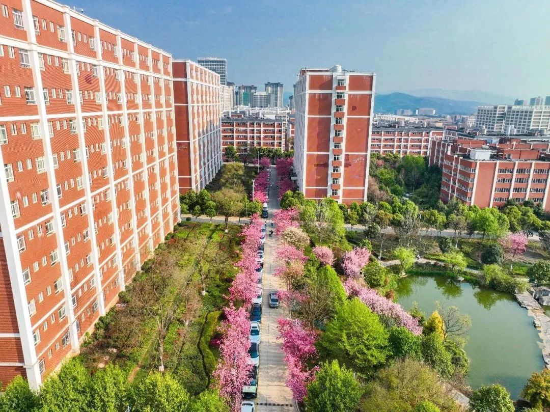 图源:“云南经济管理学院”微信公众号