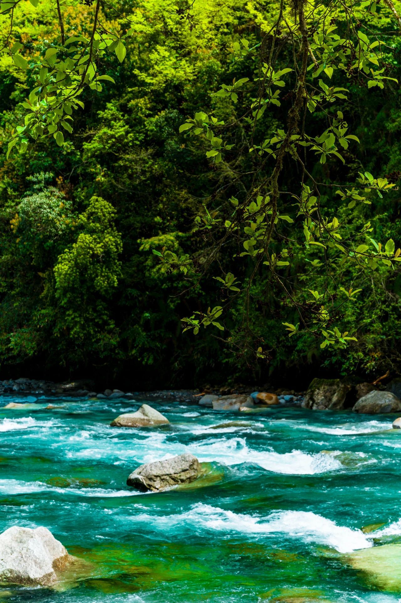 独龙江(邓斌&nbsp;摄)