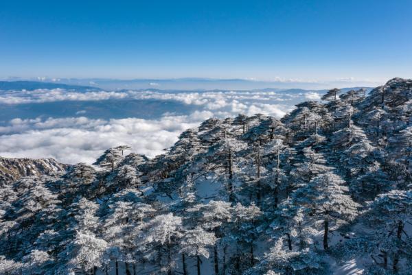 苍山雪 罗铸 摄