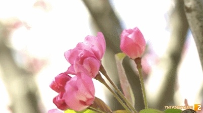 图源：都市条形码