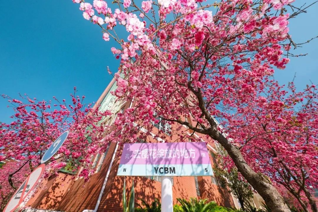 图源:“云南经济管理学院”微信公众号