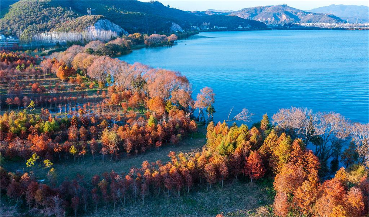 星云湖国家湿地公园