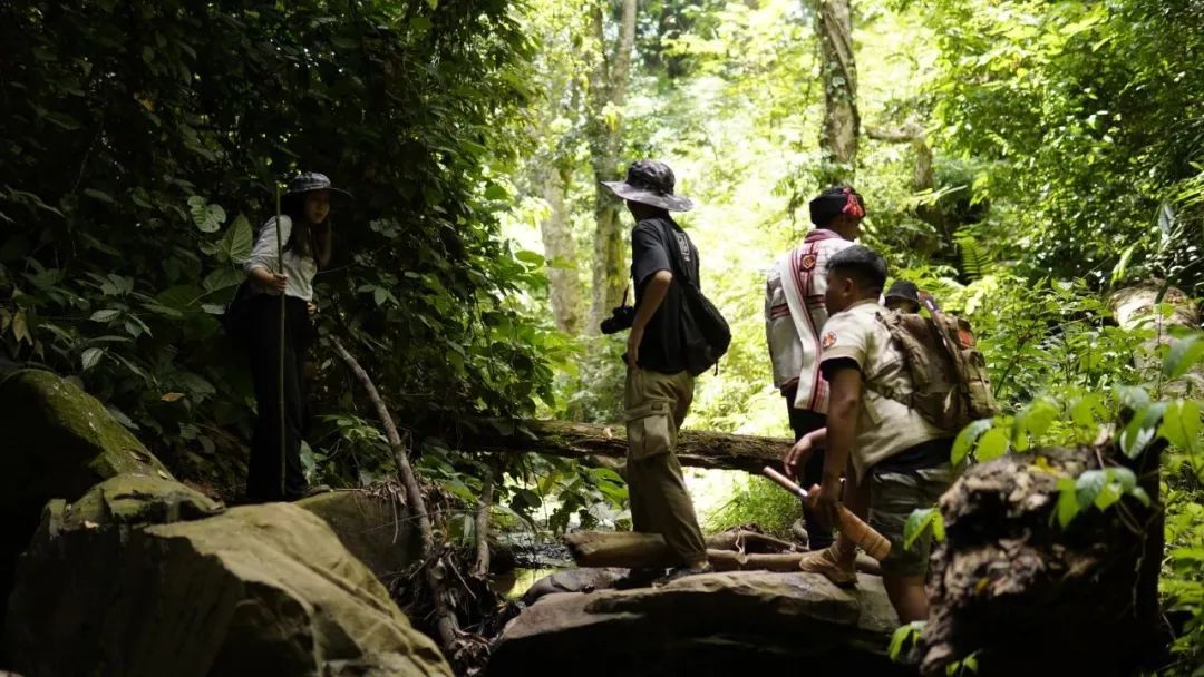 游客在基诺山雨林徒步。前行户外供图