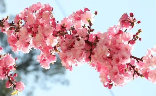 图源:马龙区委宣传部