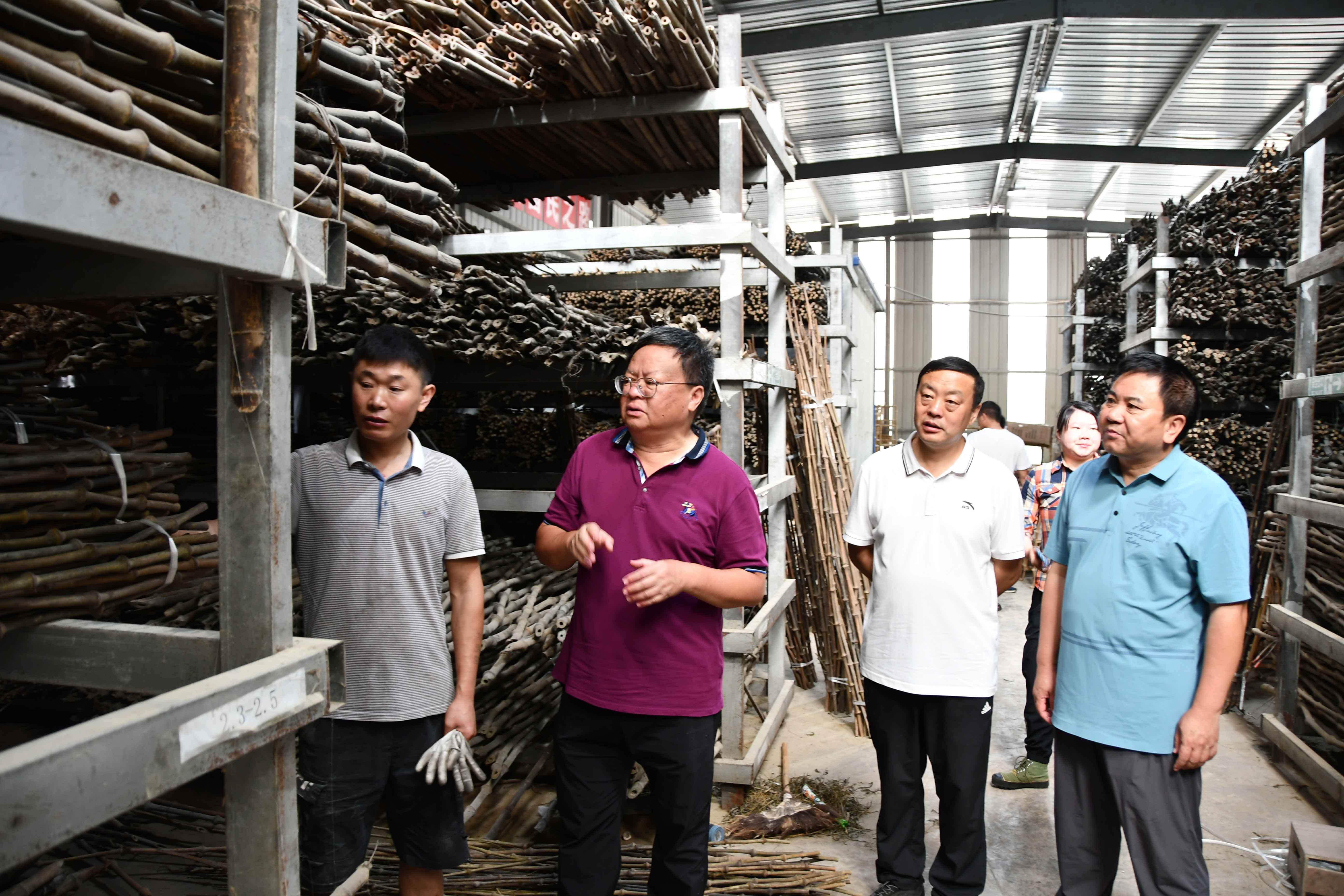 我和我的村庄 | 董文渊：“竹”梦三十载，圆梦筇竹海