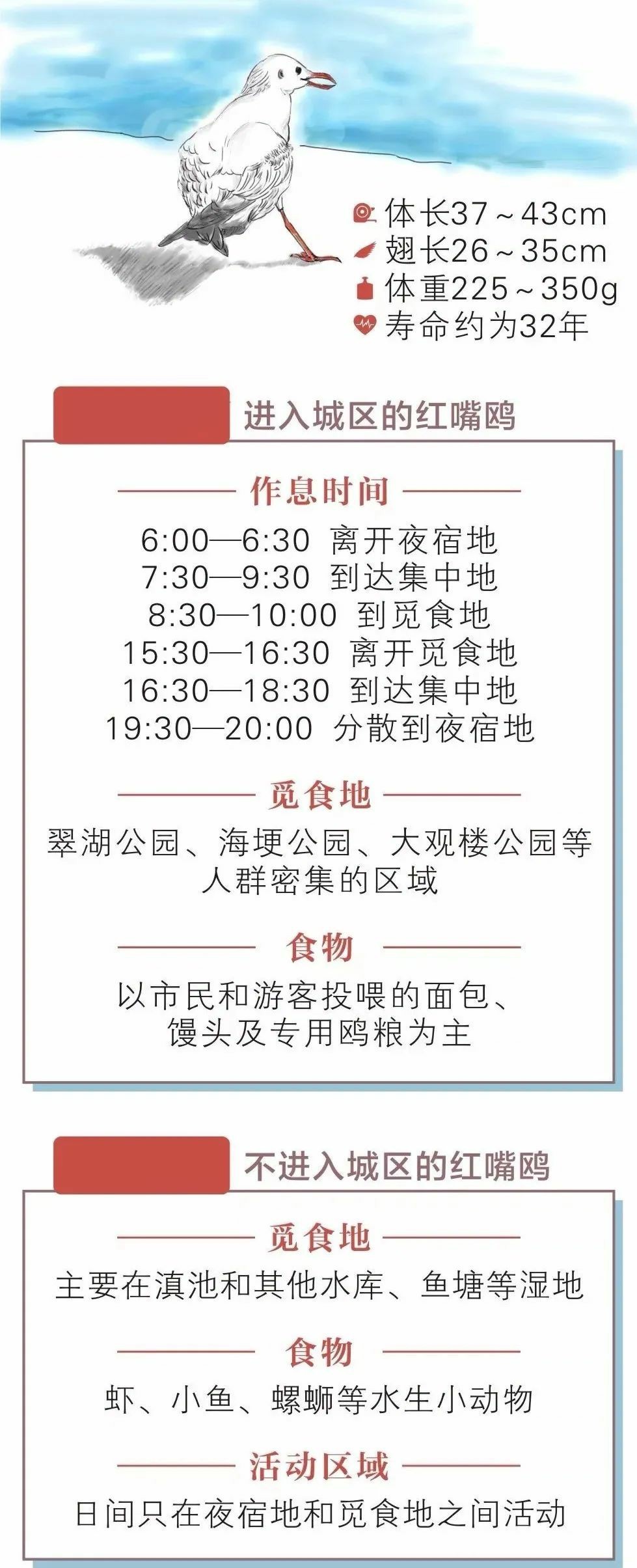 制图：王丽娜 图源：昆报头条