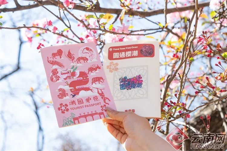 记者 龙彦 摄