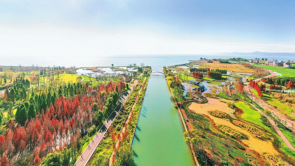 宝丰湿地公园 陈飞 摄