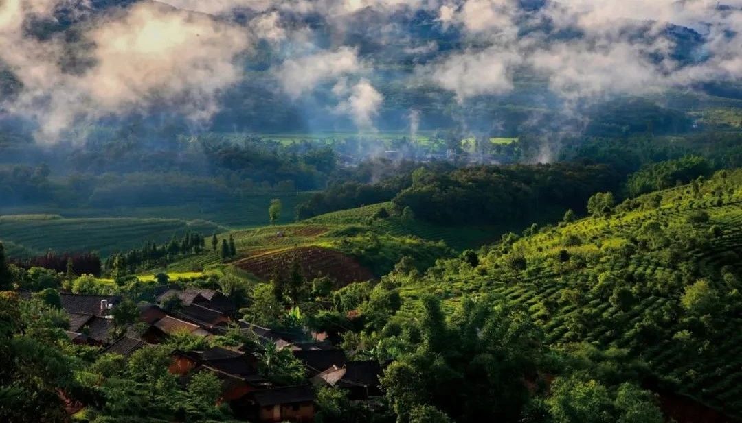 世界遗产：普洱景迈山古茶林文化景观