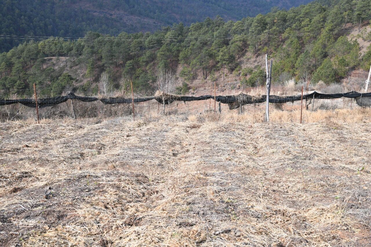 ���������������20�� �ֳ�����ǧ�𷽡�