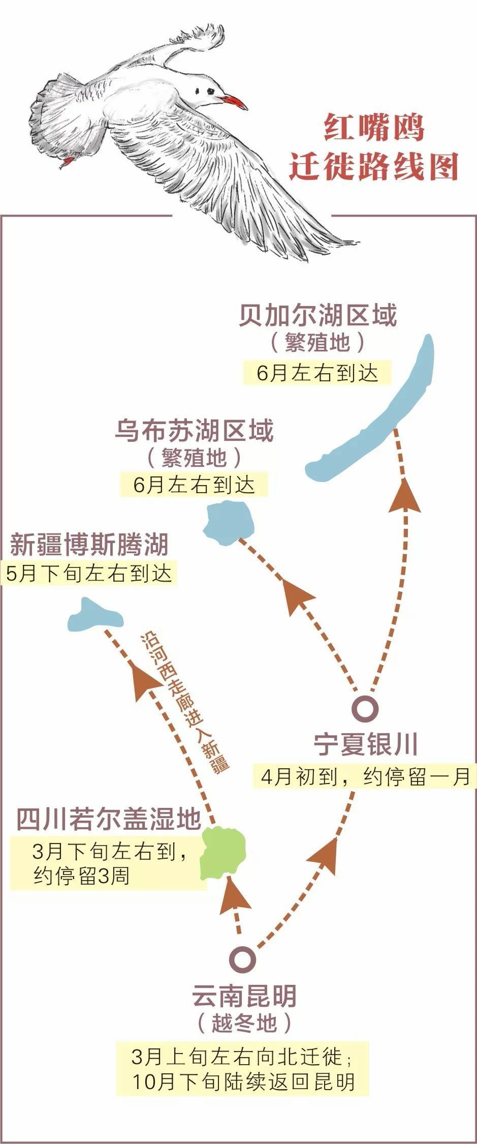 制图：王丽娜 图源：昆报头条