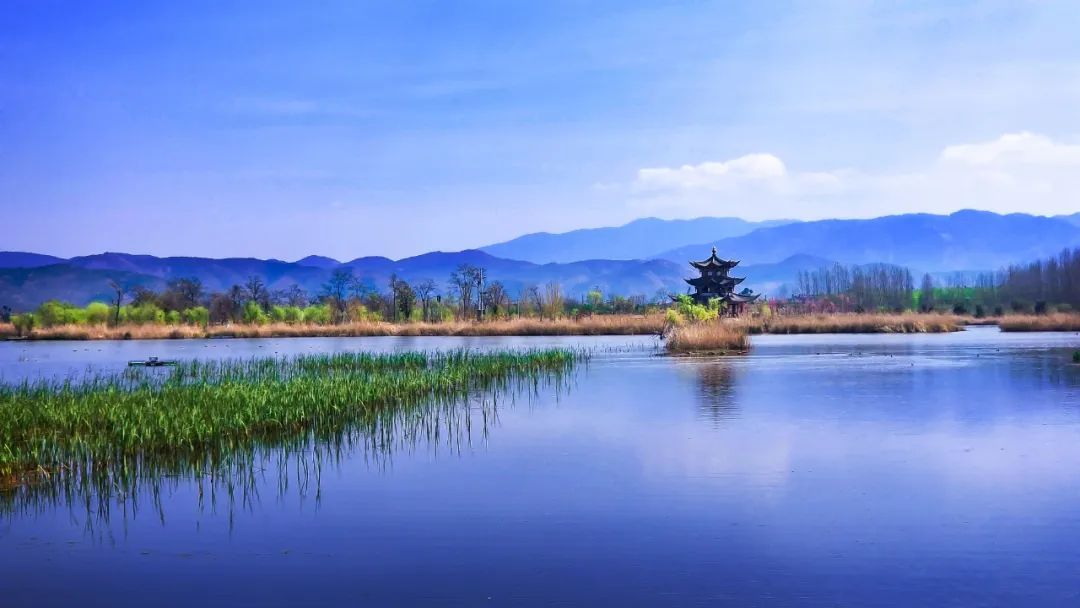 罗时江湿地 郑兴 摄