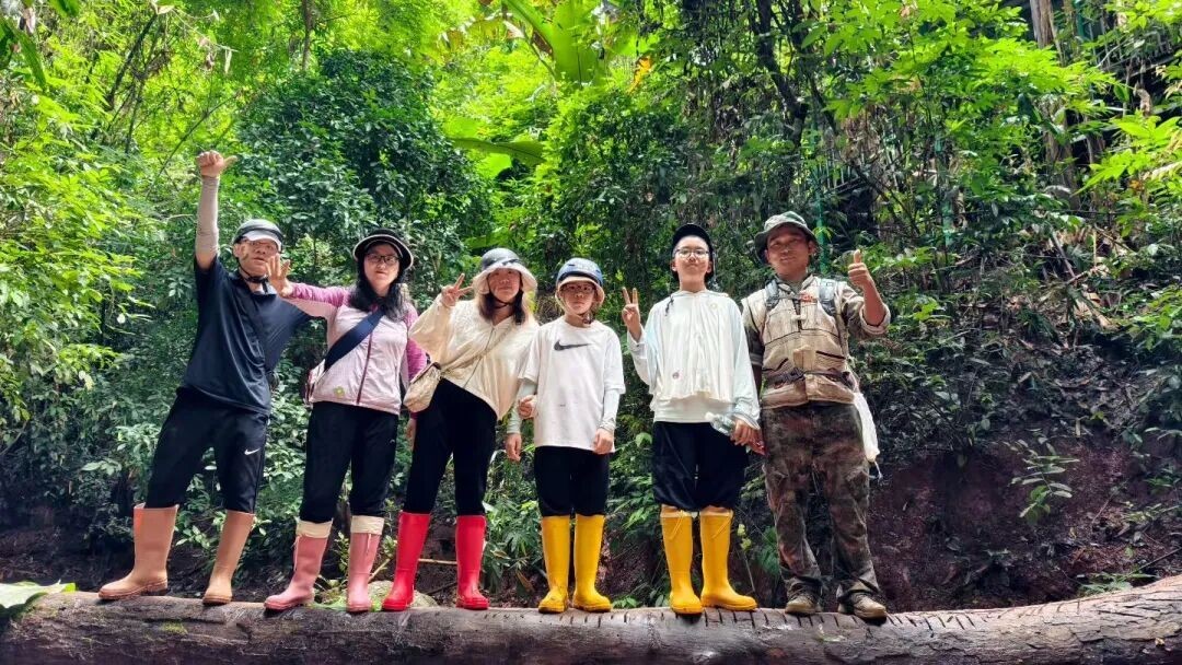 雨林徒步的游客。巴朵村 供图