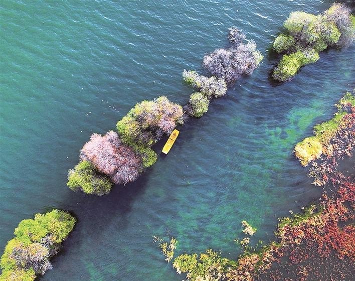 《俯瞰湿地》(杨宪章 摄)