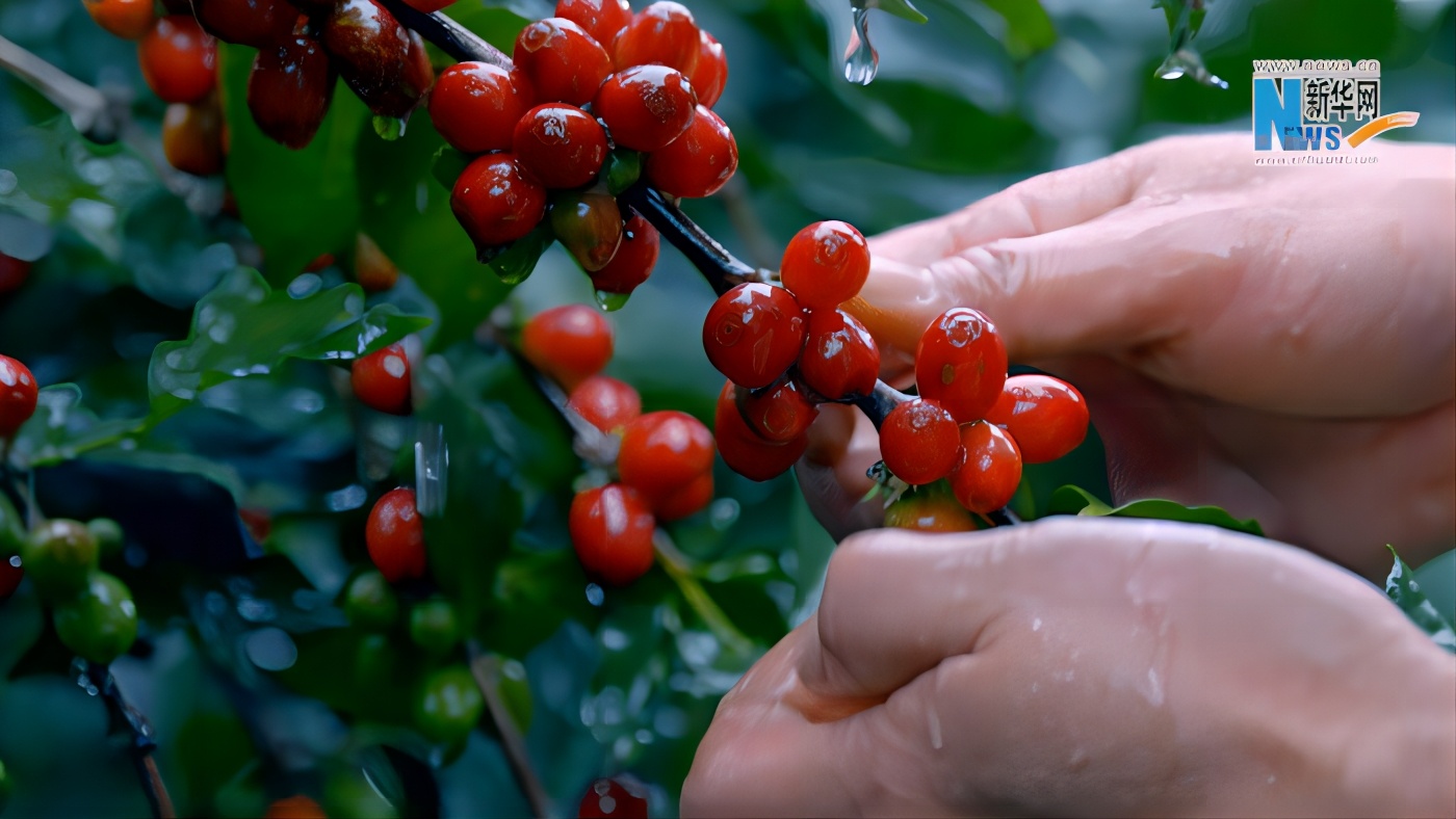 有一种叫云南的生活美好生活在云南从心出发描绘多彩答卷