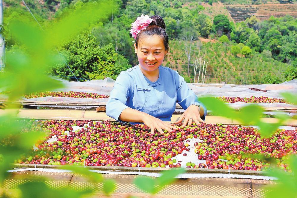 绿水青山如何变现？云南景东以农文旅融合作答