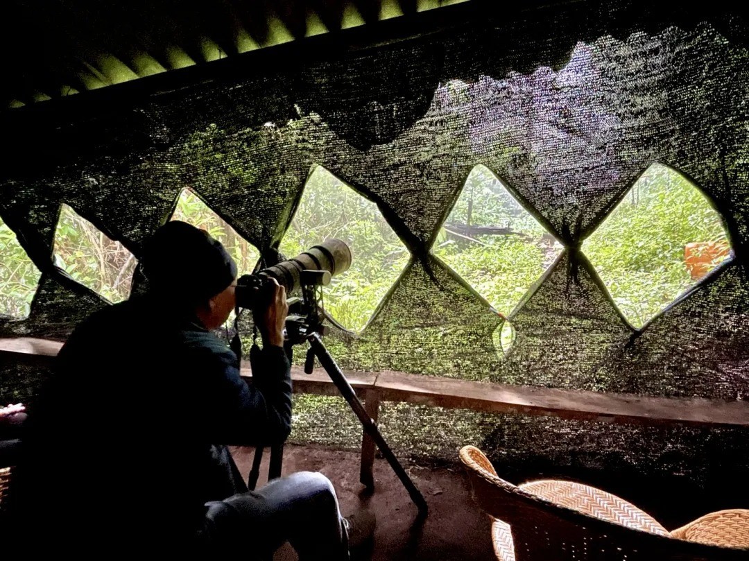 摄影爱好者在鸟塘拍摄。赵晓元 罗嘉 摄