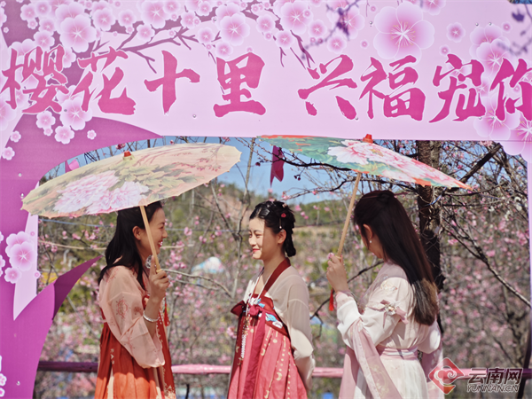 南华县委宣传部 供图