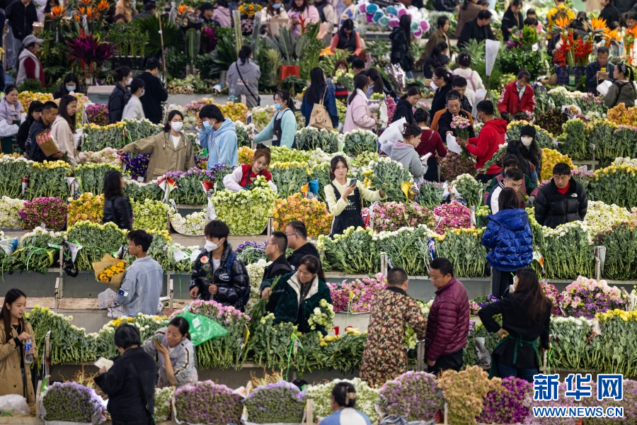 昆明斗南花市里,鲜花购买热闹非凡(资料图).新华网 赵普凡 摄