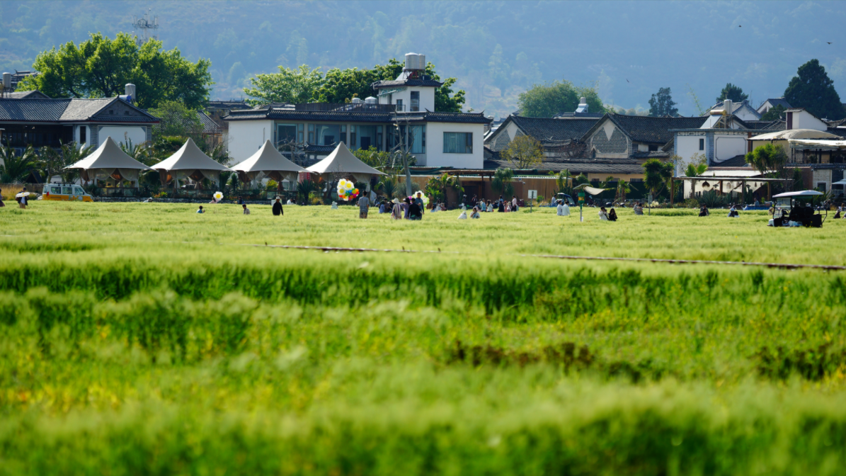 万千气象看云南在大理喜洲邂逅一场独特的浪漫