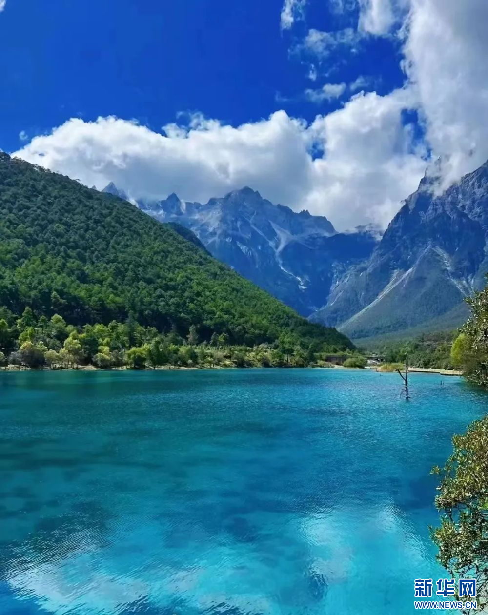 到云南来一场研学游,探索"生态秘境"